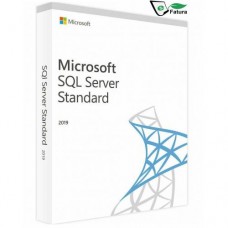 Microsoft Windows SQL Server 2022 Standard Dijital Lisans BİREYSEL KURUMSAL